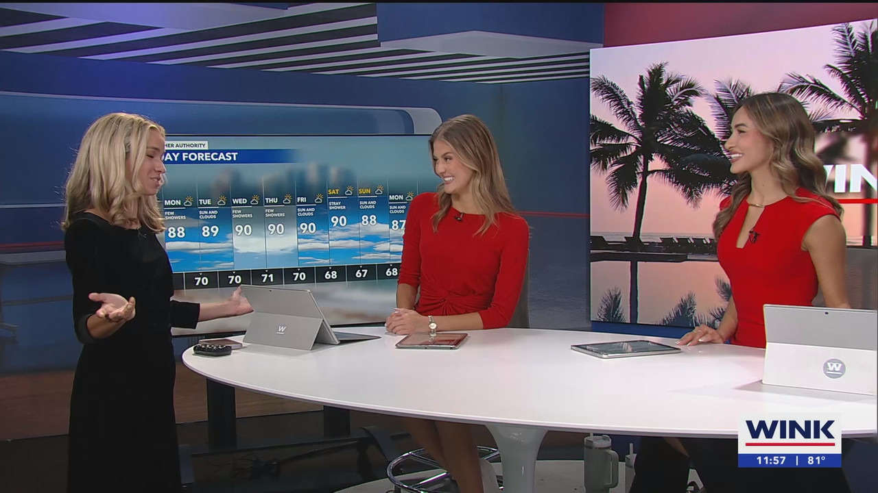 WINK NEWS at 1130am_20250330_16301700.ts_snapshot_28.51.802