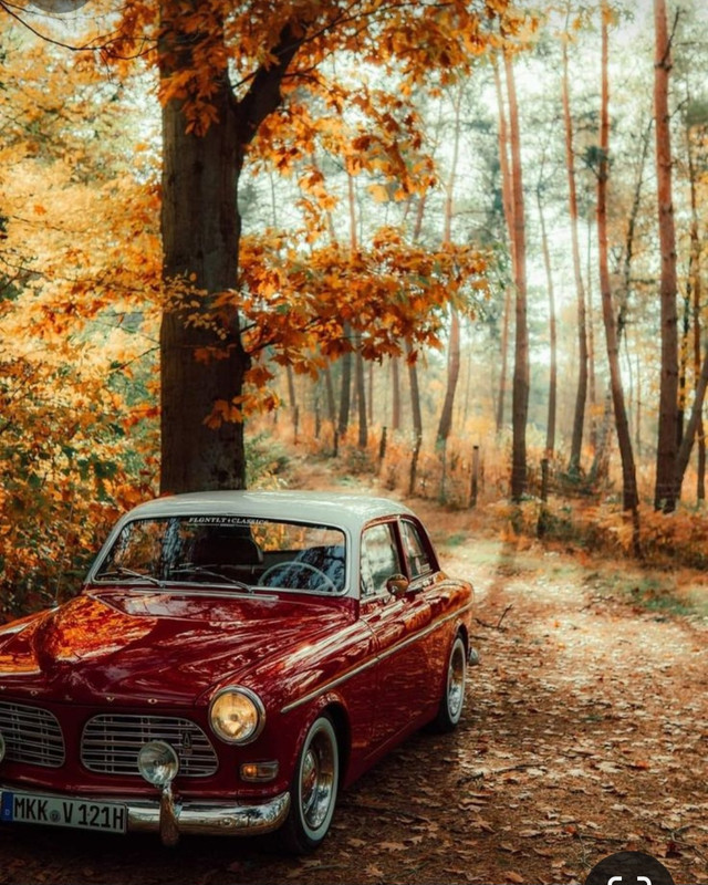 Screenshot_20231117_201605_Pinterest