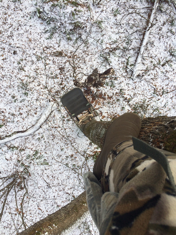 A1EB3DF5-7352-43D8-B7FE-B84F252CA8BB