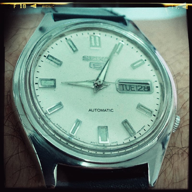 detracia - consentido Seiko 5