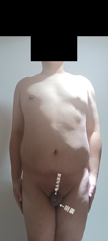 https://i.postimg.cc/bJZwCqD7/In-Shot-20250707-153818671.jpg