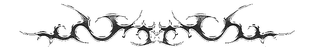 Alt Tag