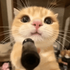3ggetL2MfxpH6vl_hSXO3