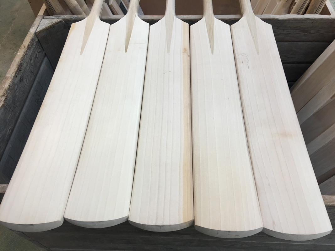 A5BD87D8-A70C-4906-BB20-168DB90CEA0E