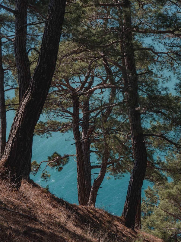 IMG_20250324_090915_261