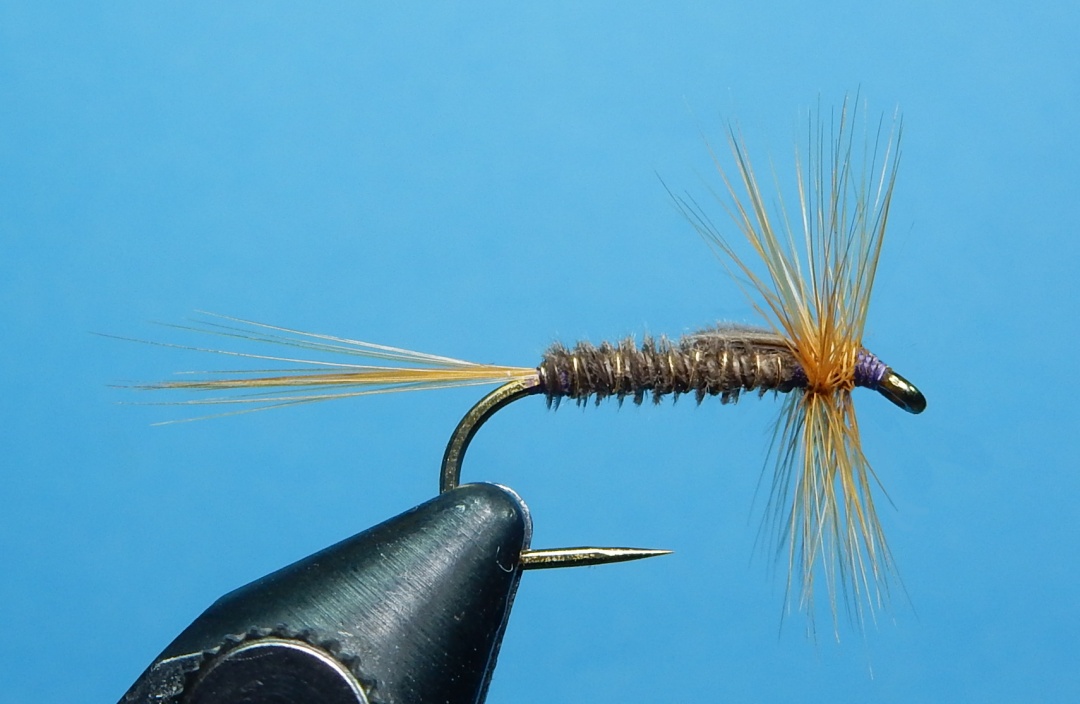 Kite's Imperial - Fly Tying - Maine Fly Fish