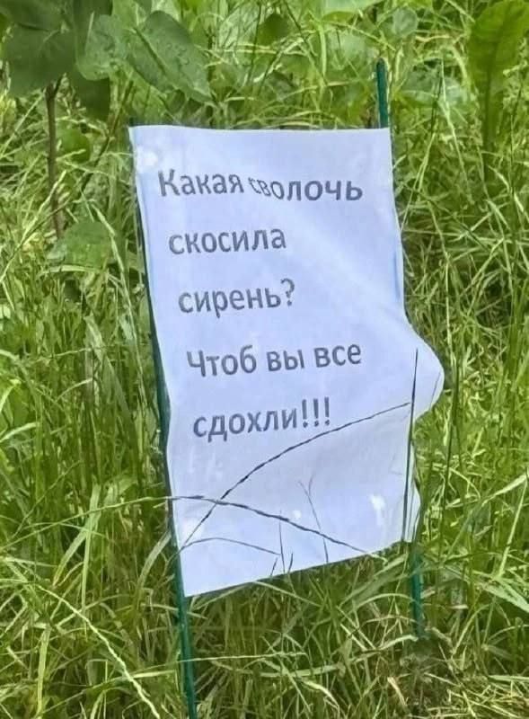 a6ade0d8b3127c4db99c5b37543b7d48.jpg