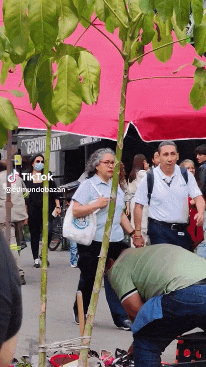 GIF-20250331-163600-144.gif