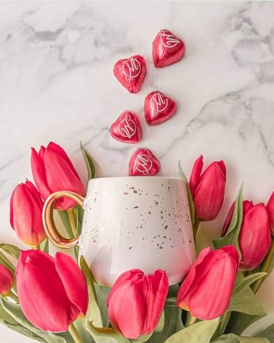 FB_IMG_1687237437369