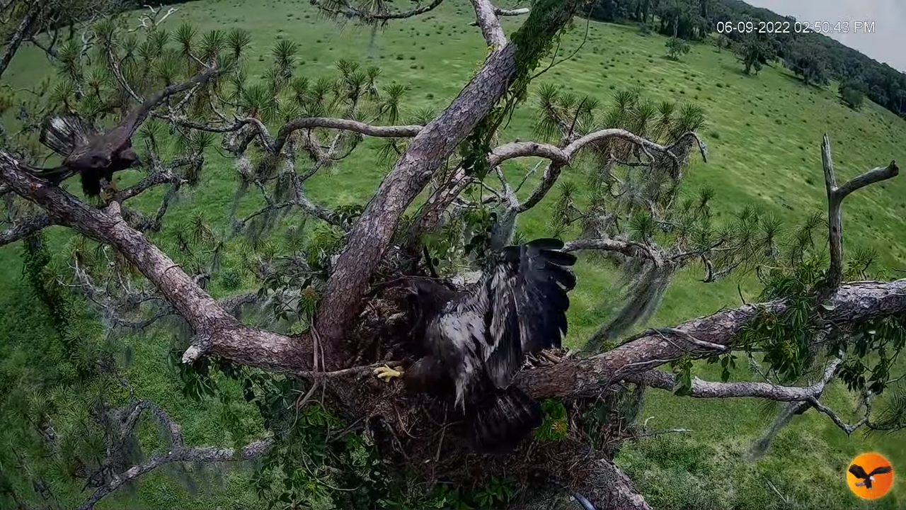 EC 4K Overhead Cam 9-48-1 screenshot