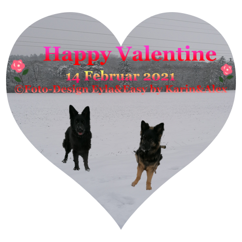 An den Beitrag angehängtes Bild: https://i.postimg.cc/bJc8fHmJ/14-02-2021-Happy-Valentine.png