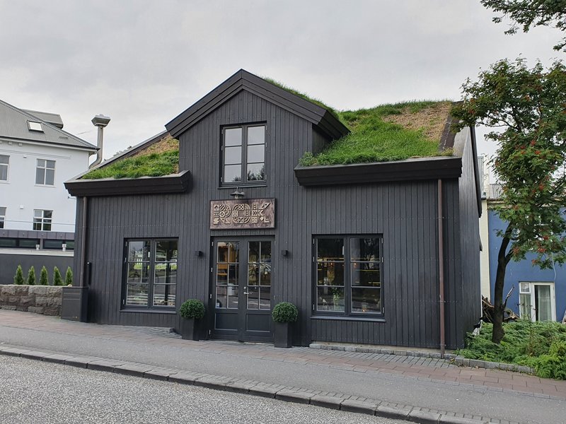 DIAS 3 Y 4: REYKJAVIK (más cuarentena) - Islandia en tiempos de Covid. Y con Camper! (5)