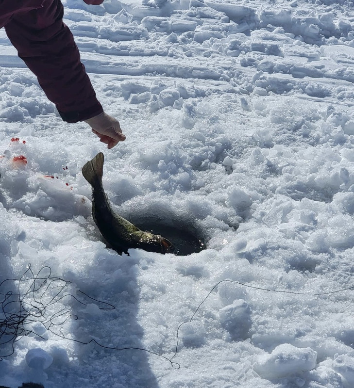 9D953C53-B40D-43C1-9314-148313A5B8C2