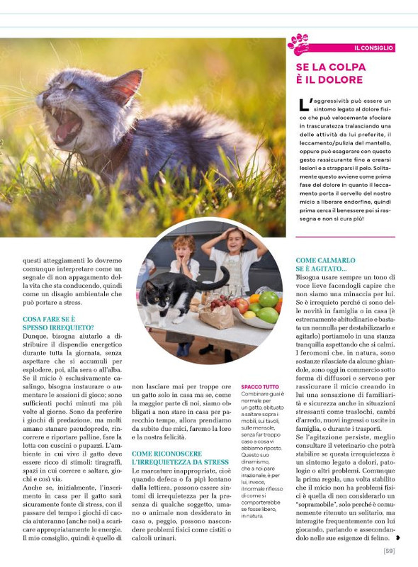 Ga Ma Ago-Set 2024 (12)