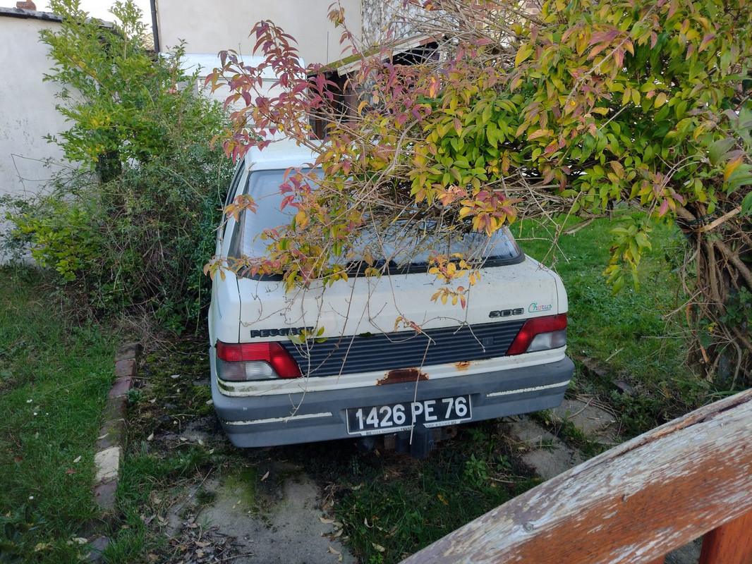 IMG-20231022-184601206.jpg