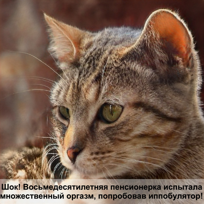 самая маленькая кошка