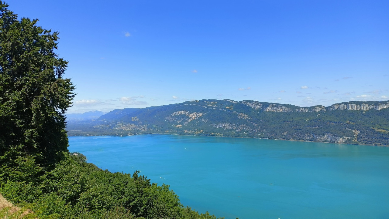 IMG20250722141757 (Large)