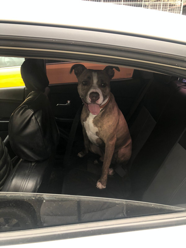 76A547AC-1EC4-4ED6-8509-4FEB2787D7A1