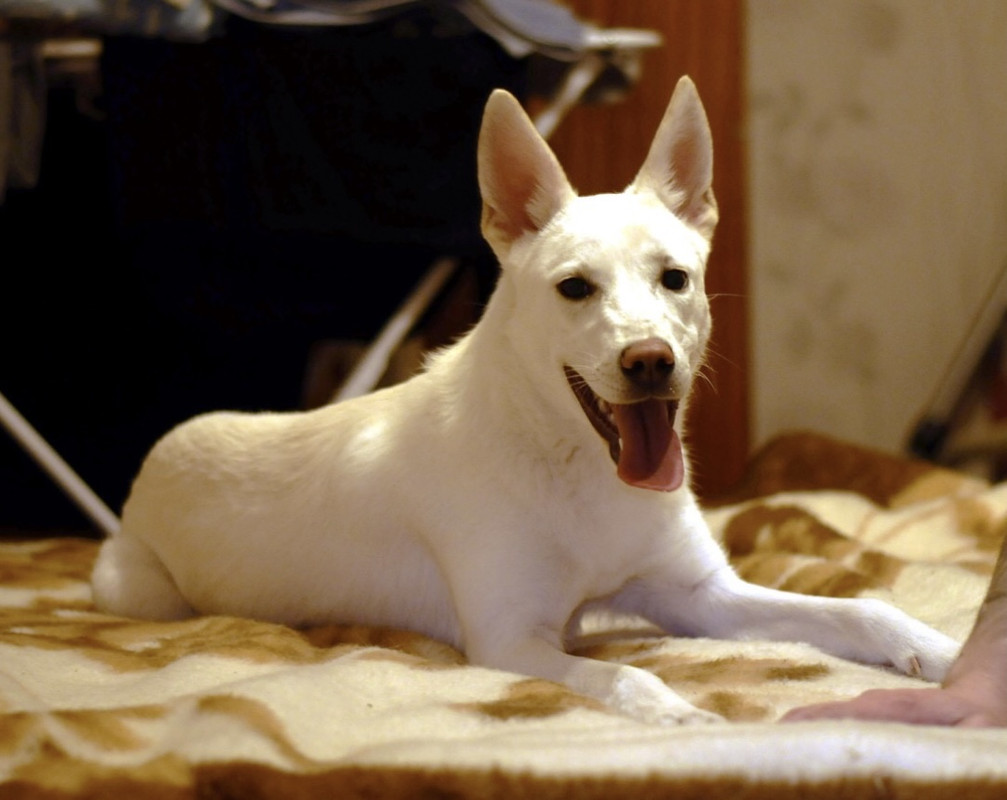 AAC84F0F-A271-4C1A-8B0E-98937A75D3BF