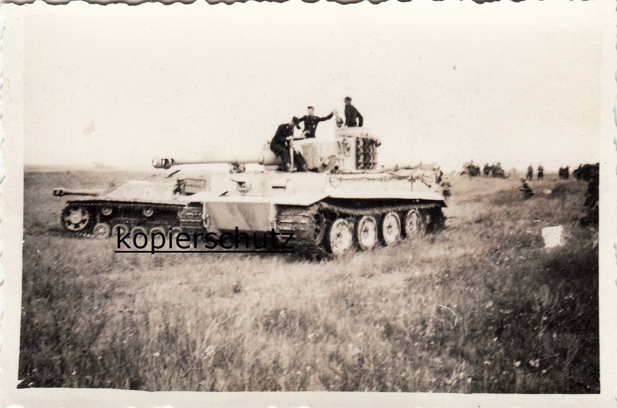 Panzerdivision Panzer VI Tiger Tank   Sturmgeschütz III StuG