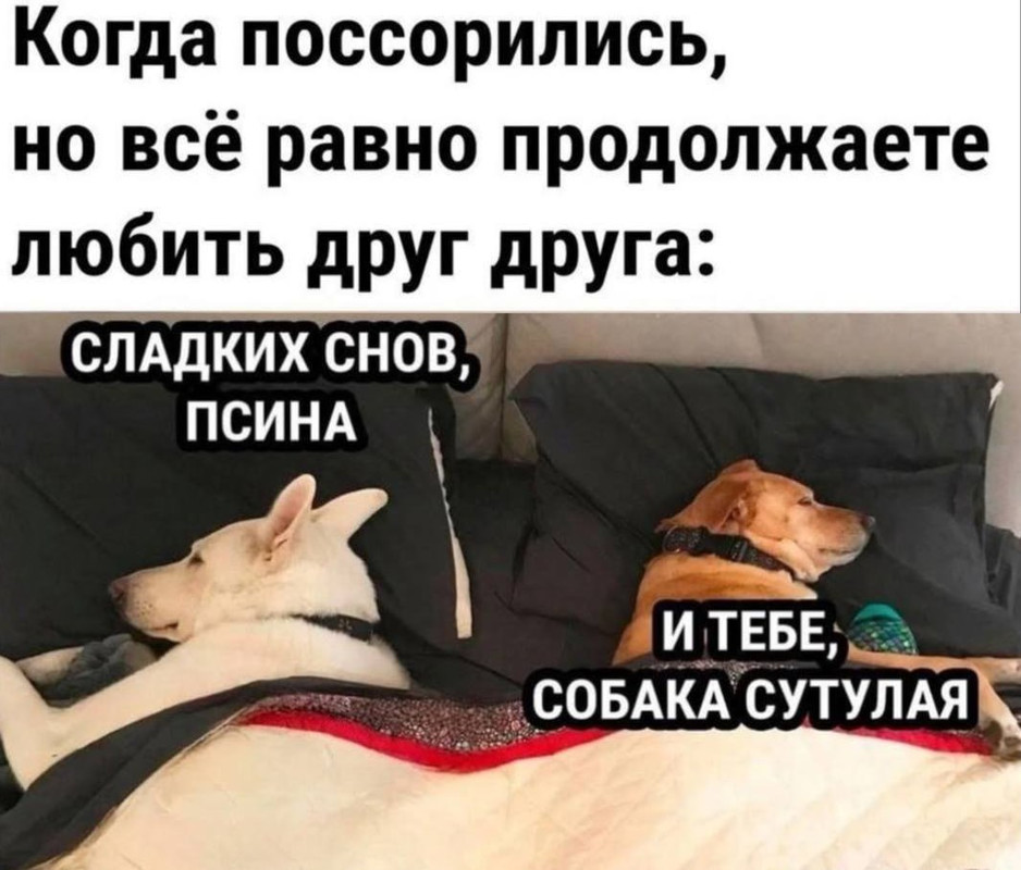 [Изображение: photo-2025-05-10-08-15-52.jpg]