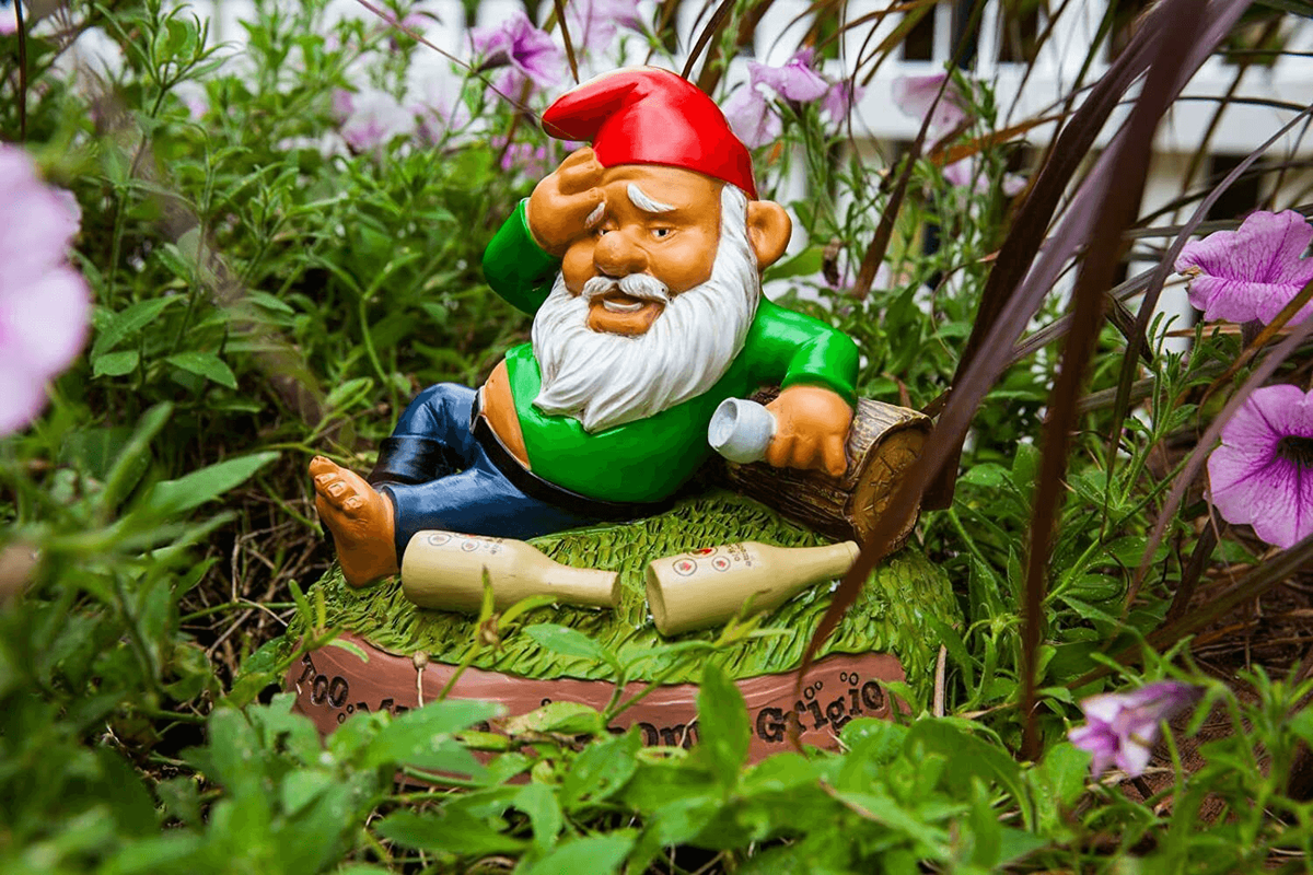drunk gnomes
