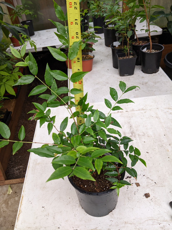 PXL_20230617_185326328