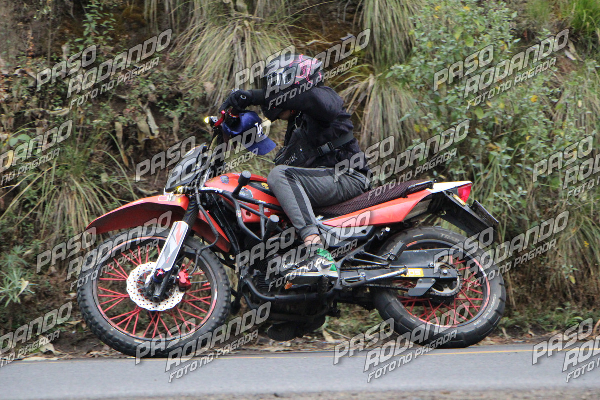 IMG 0483 wm 3640761 3 watermarked — Postimages