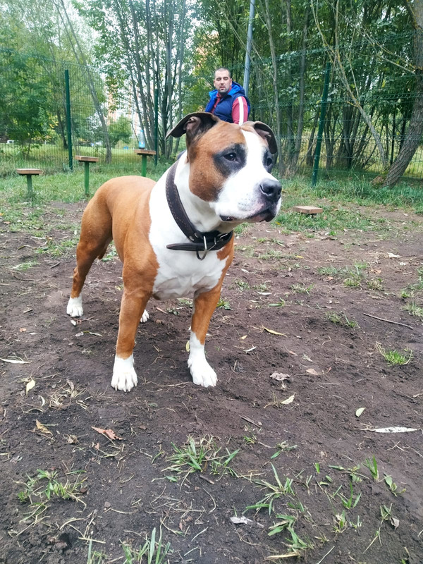 1C0F201C-6225-4E2F-AE1A-B98E79BF8285