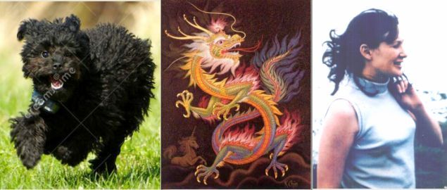 Dog-Dragon-L.jpg