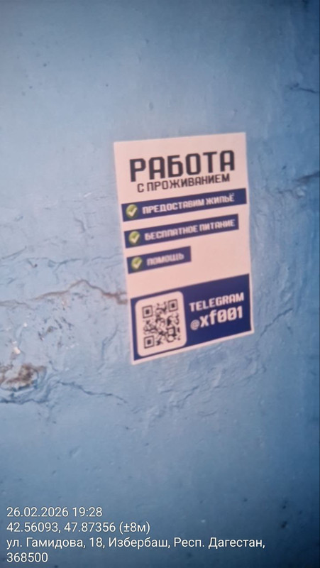 photo 66 2026 03 01 03 06 10