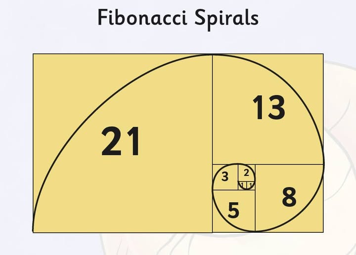 484505267-1053360710153510-2466265631089933155-n