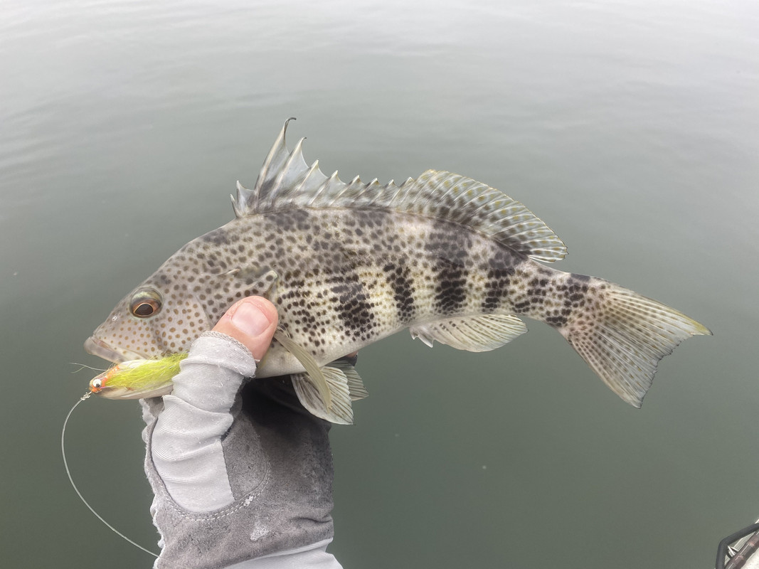 7D7D8A84-6F2B-4B44-8554-5C4A34C2AC02