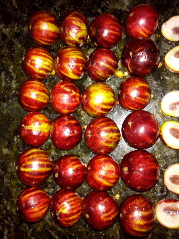 WhatsApp Image 2020-12-20 at 00.10.49 (11)