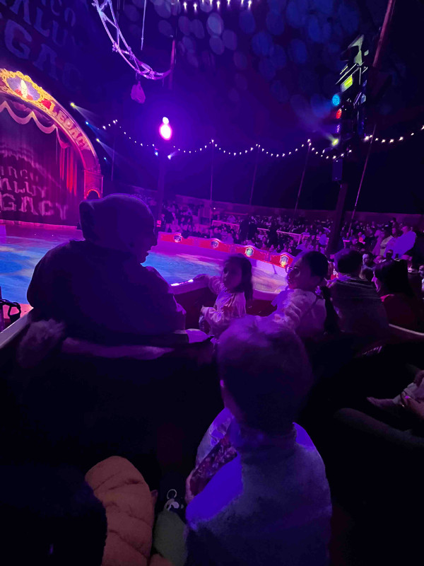 IMG 4d25d2208984a26d4201ecda9e86b8d4 V