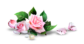 0-f903a-b49318c1-L-001-1.png