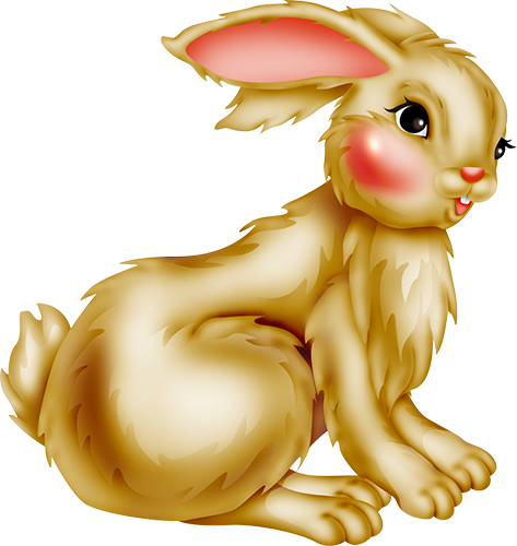 KBK_PrettyRabbit (17)