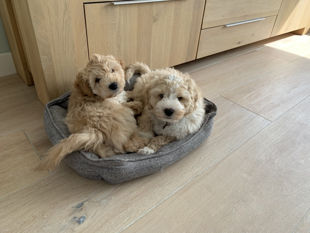 87A195F0-FF08-425F-8F3F-E55DDFB2F6A0