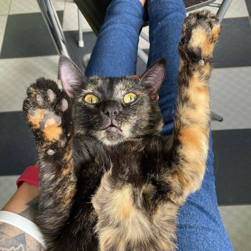 200A8E4D-0066-43C6-8E8E-6A52DB4107E1