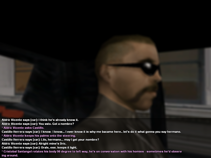 SS3.png
