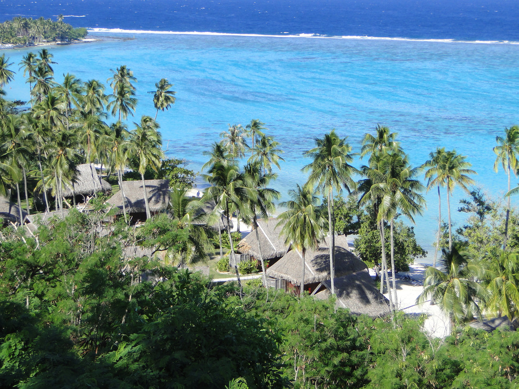 Polinesia, nosotros y la visión del paraíso. - Blogs de Polinesia Francesa - 2° Etapa: MOOREA. (31)