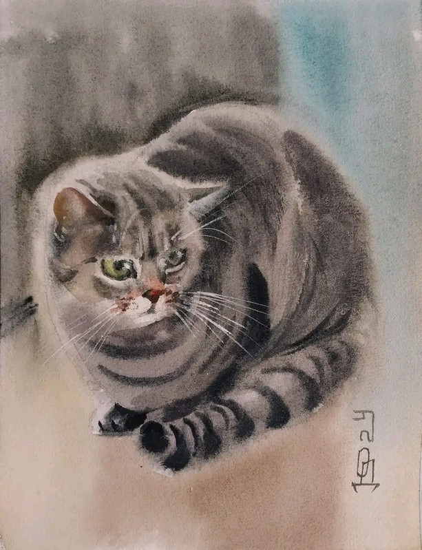 37