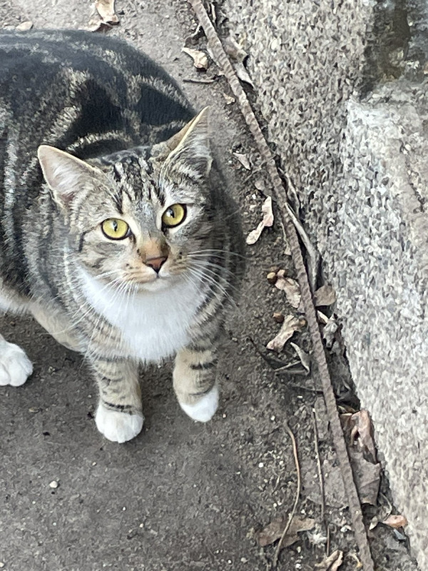 A049A42F-6175-4501-A60D-FE04C5BB2D8A