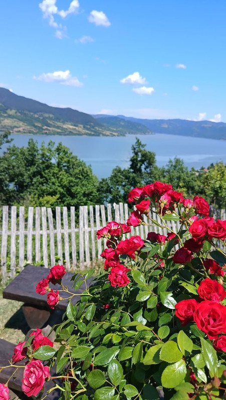 447753326_1674171770054081_6762703539020668923_n (1)