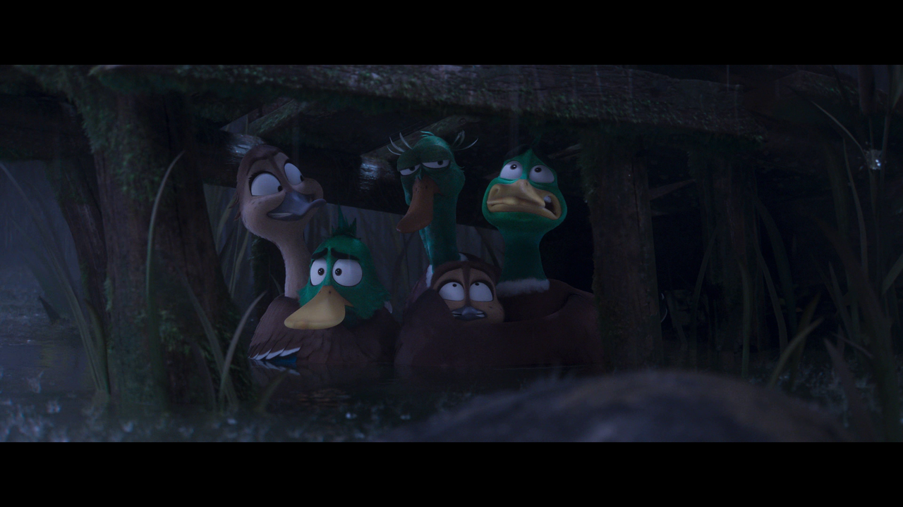 vlcsnap-2024-02-19-22h19m35s337