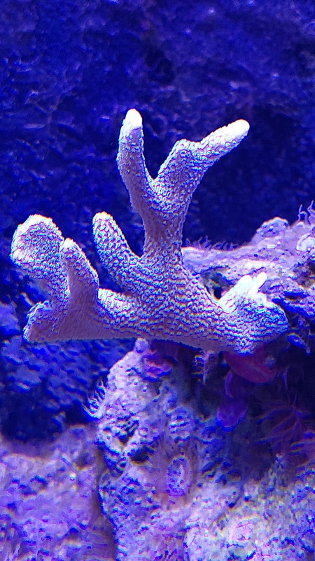 590561791 1160997309556158 751631095723227364 n