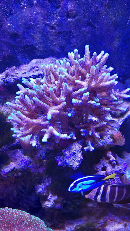 589230626 1160997216222834 2991309958127699962 n