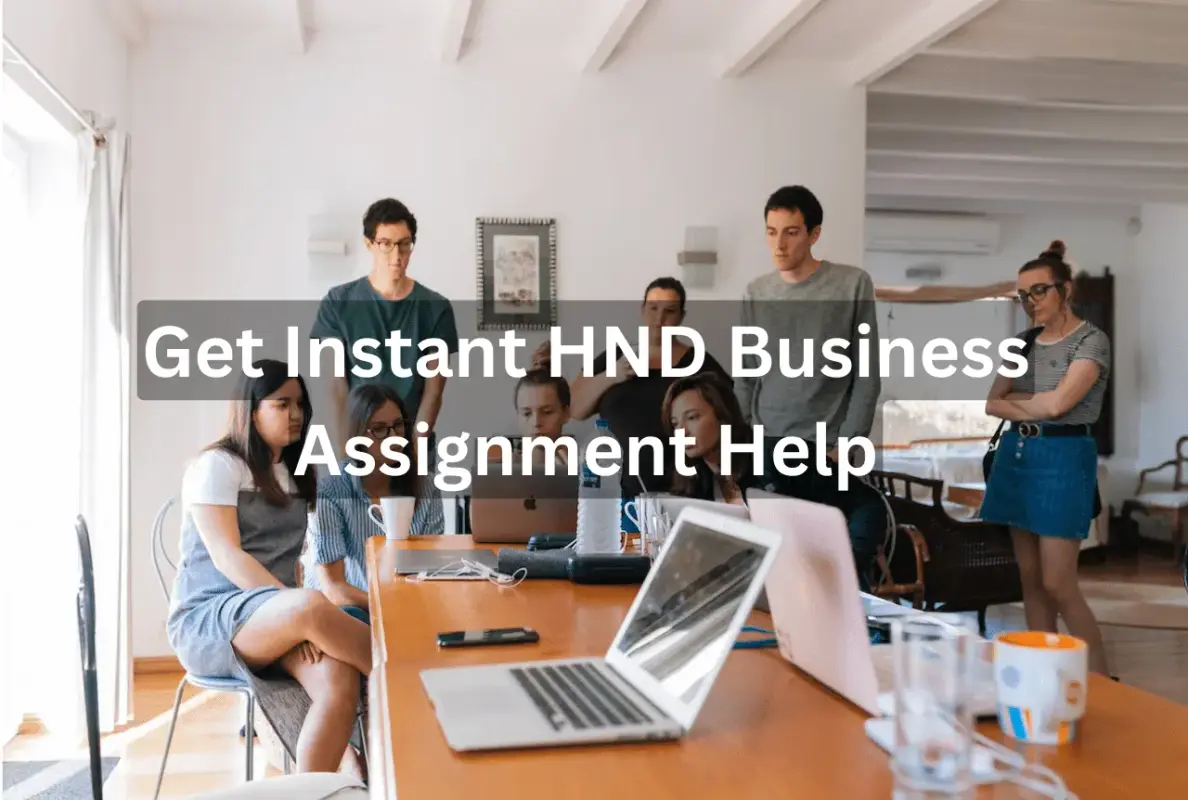 HND Business Assignment Help