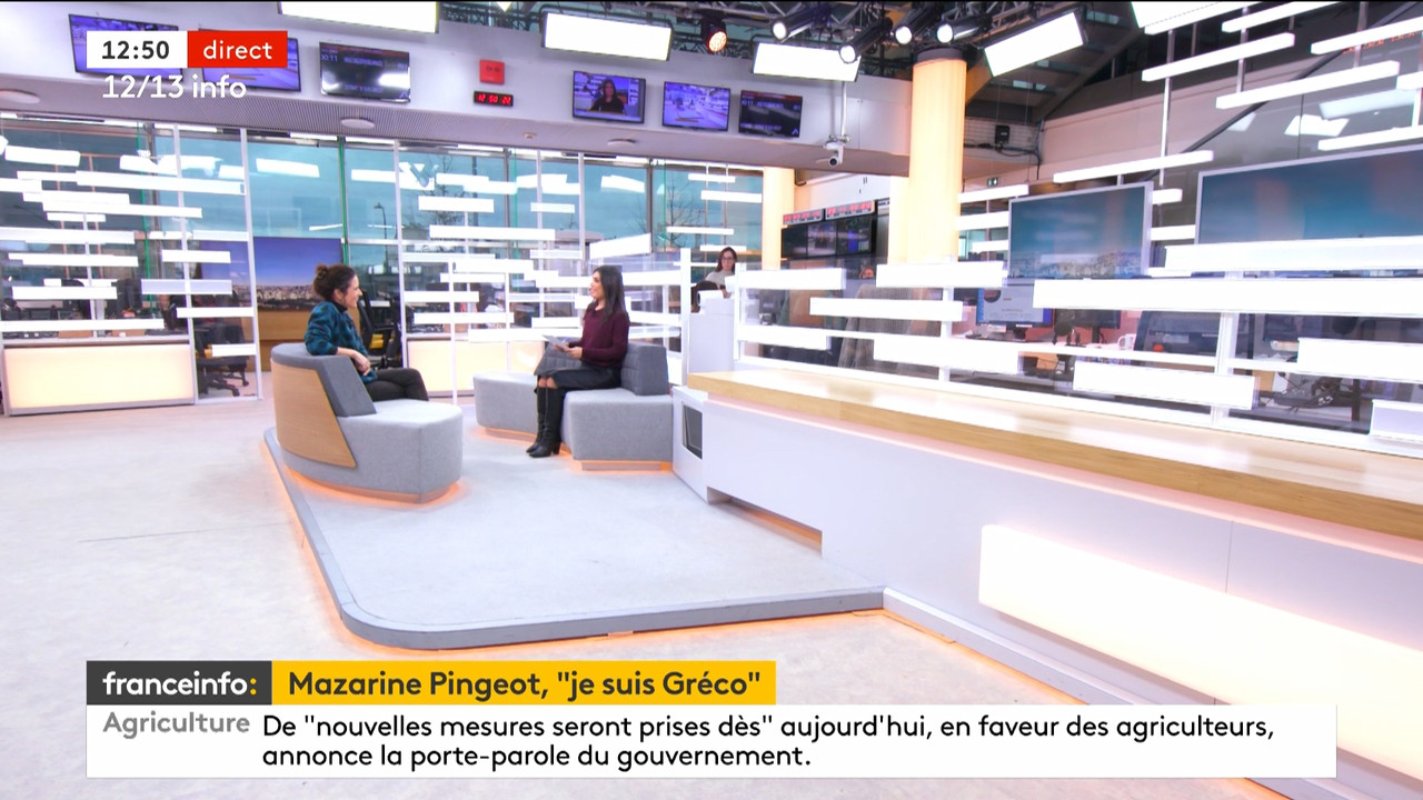 12-13 info (Franceinfo)_2024_01_30_10_54_86.ts_snapshot_00.56.56.445