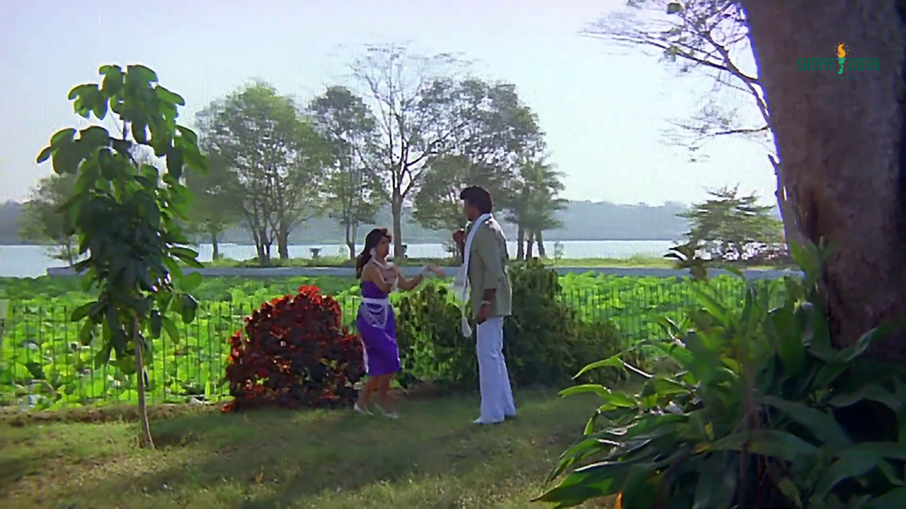 vlcsnap 2025 11 29 08h50m36s286